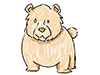 Elderly bear | Bear | Animal-Character | Person | Free illustration