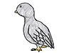 鳩 | ハト - キャラクター｜人物｜フリーイラスト