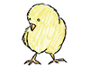 Hina | Chick-Character | Person | Free Illustration