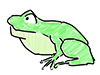 Frog | Frog-Character | Person | Free Illustration