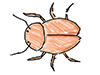 Cockroach | Cockroach-Character | Person | Free Illustration