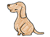 Dachshund | Dogs | Animals-Characters | People | Free Illustrations
