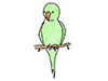 Parakeet | Bird-Character | Person | Free Illustration