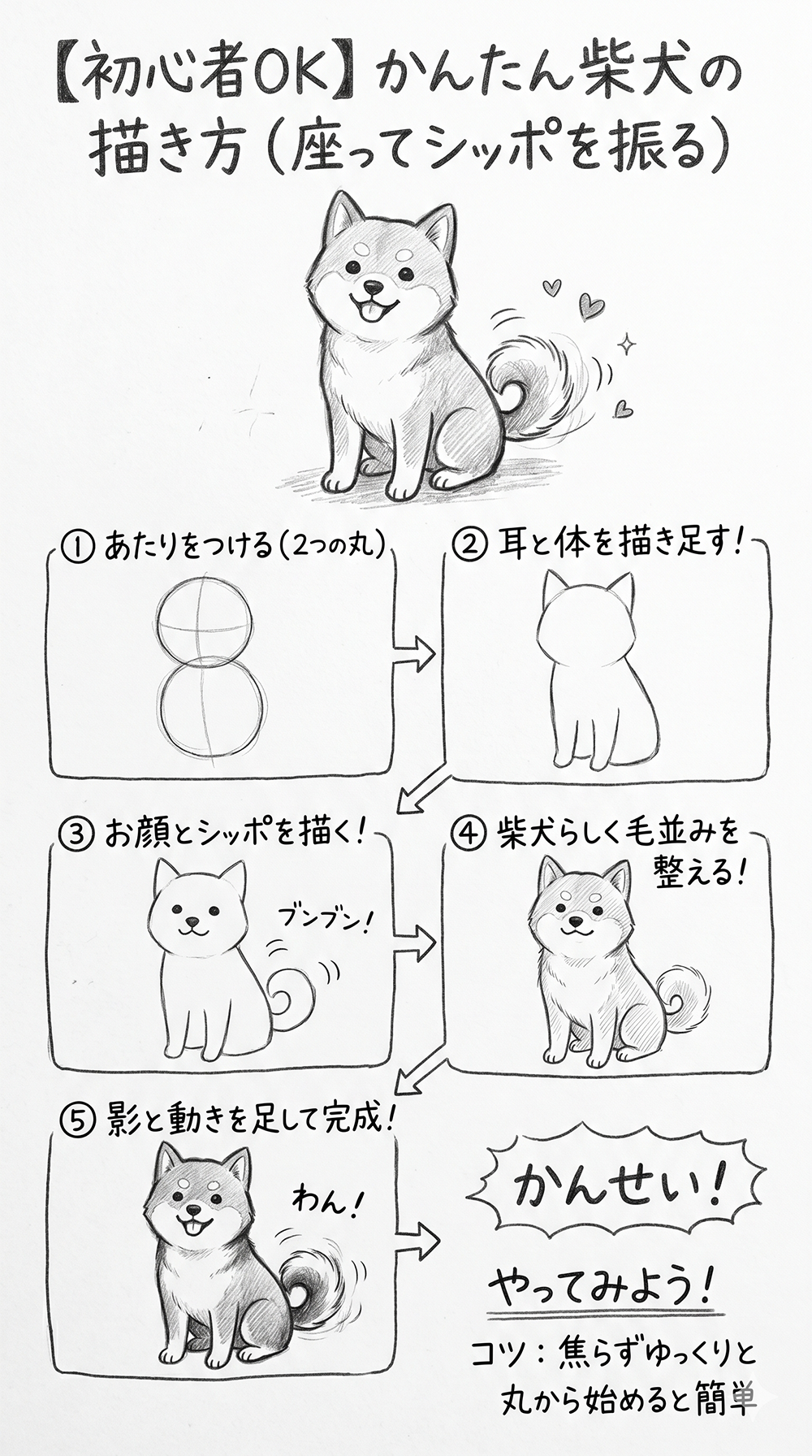 【初心者OK！】かわいい柴犬の簡単な描き方を5ステップで解説します。